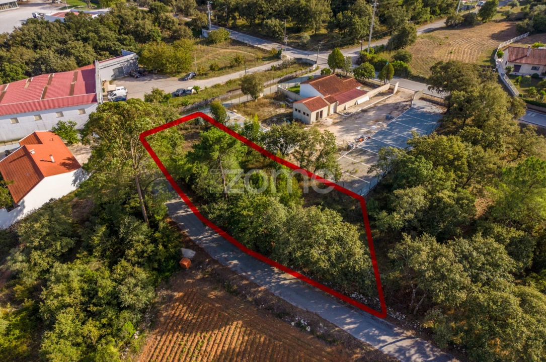 Terreno para Venda em Aljubarrota Foto 10