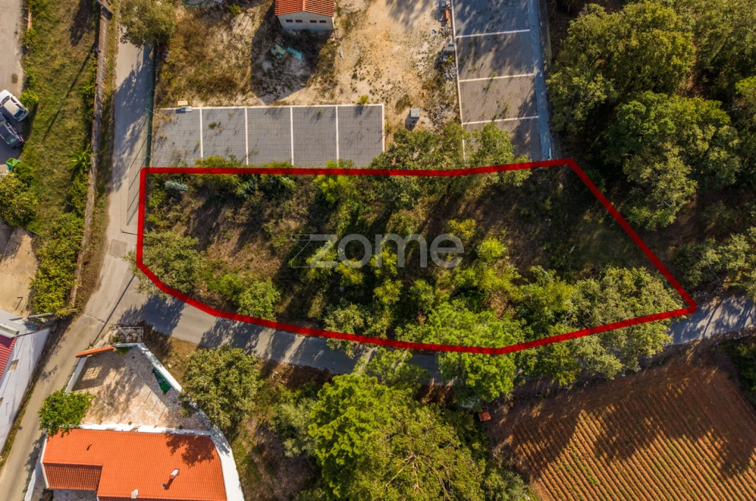 Terreno para Venda em Aljubarrota Foto 11