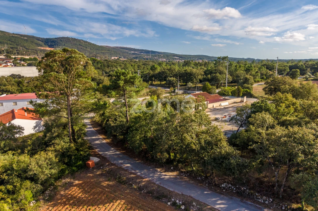 Terreno para Venda em Aljubarrota Foto 16