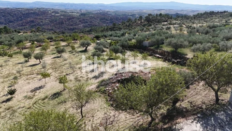 Terreno para Venda em Valpaços e Sanfins