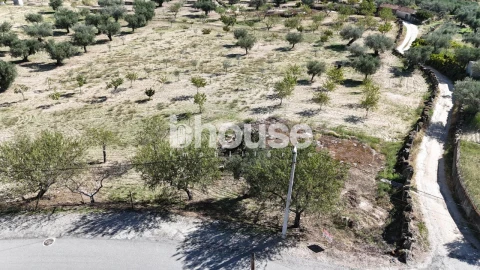 Terreno para Venda em Valpaços e Sanfins