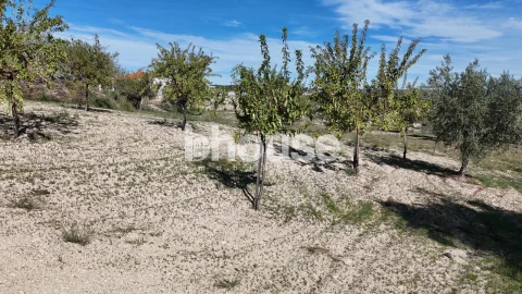 Terreno para Venda em Valpaços e Sanfins