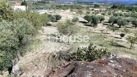 Terreno para Venda em Valpaços e Sanfins