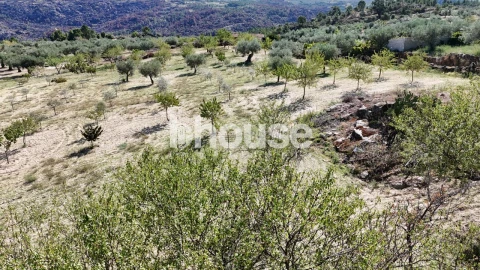 Terreno para Venda em Valpaços e Sanfins
