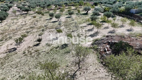 Terreno para Venda em Valpaços e Sanfins