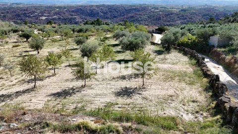 Terreno para Venda em Valpaços e Sanfins
