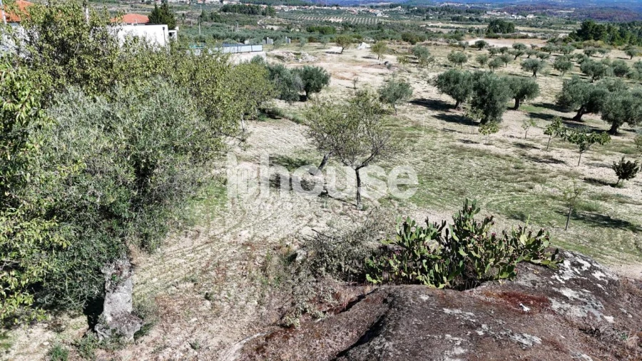 Terreno para Venda em Valpaços e Sanfins Foto 15