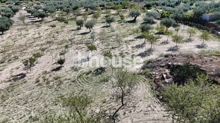 Terreno para Venda em Valpaços e Sanfins Foto 23
