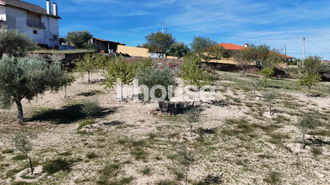 Terreno para Venda em Valpaços e Sanfins Foto 2