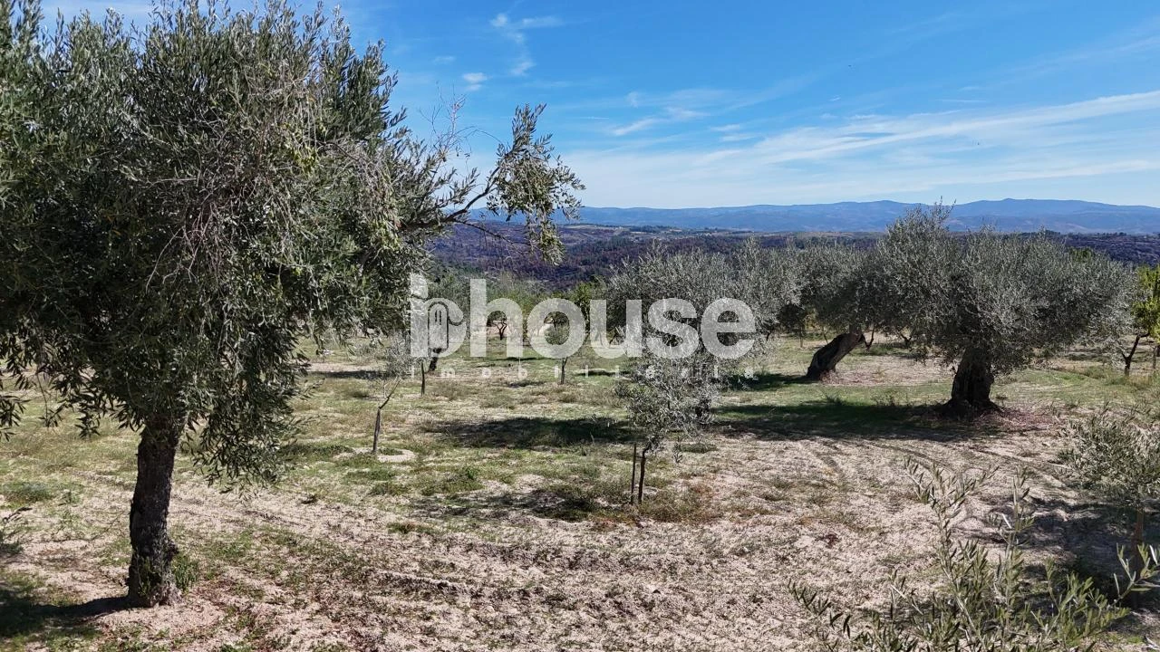 Terreno para Venda em Valpaços e Sanfins Foto 6