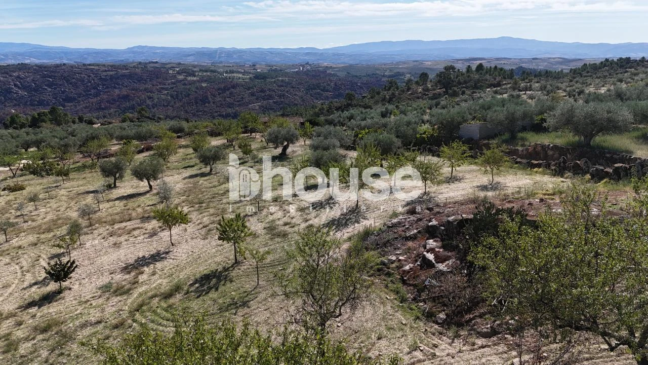 Terreno para Venda em Valpaços e Sanfins Foto 13