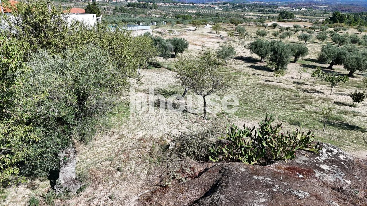 Terreno para Venda em Valpaços e Sanfins Foto 15
