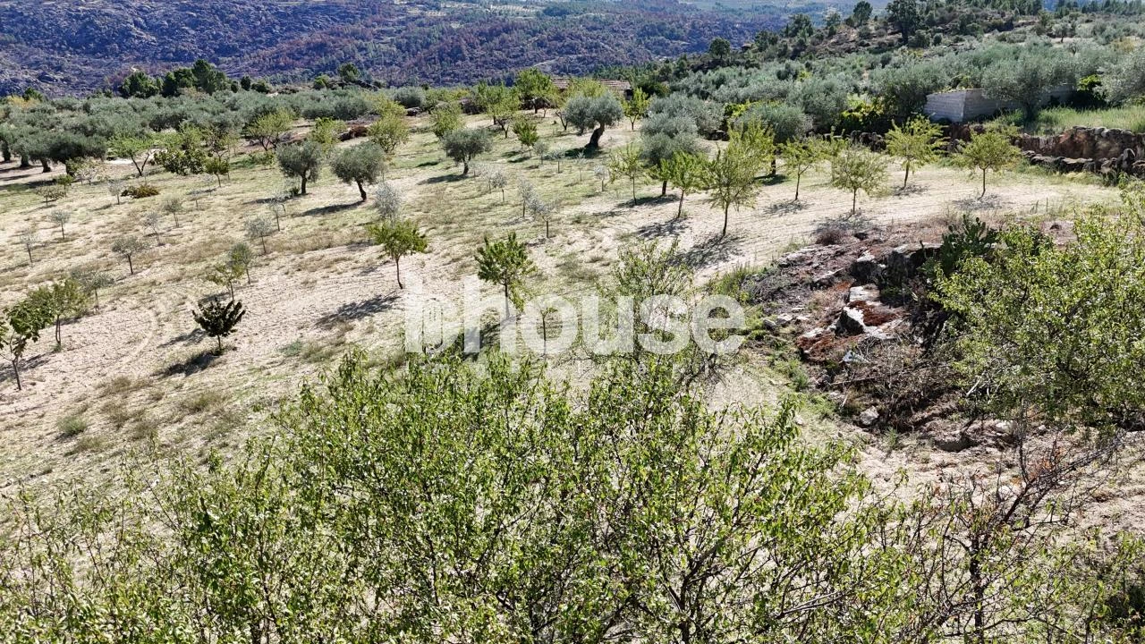 Terreno para Venda em Valpaços e Sanfins Foto 16