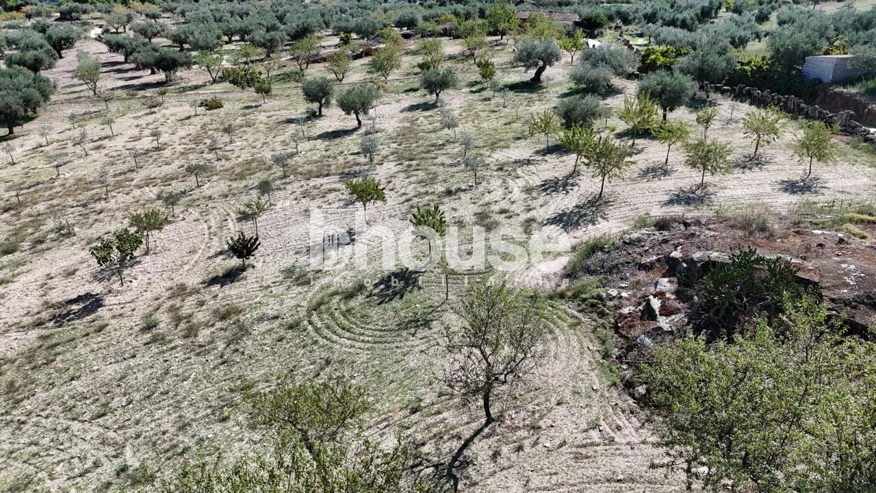 Terreno para Venda em Valpaços e Sanfins Foto 23