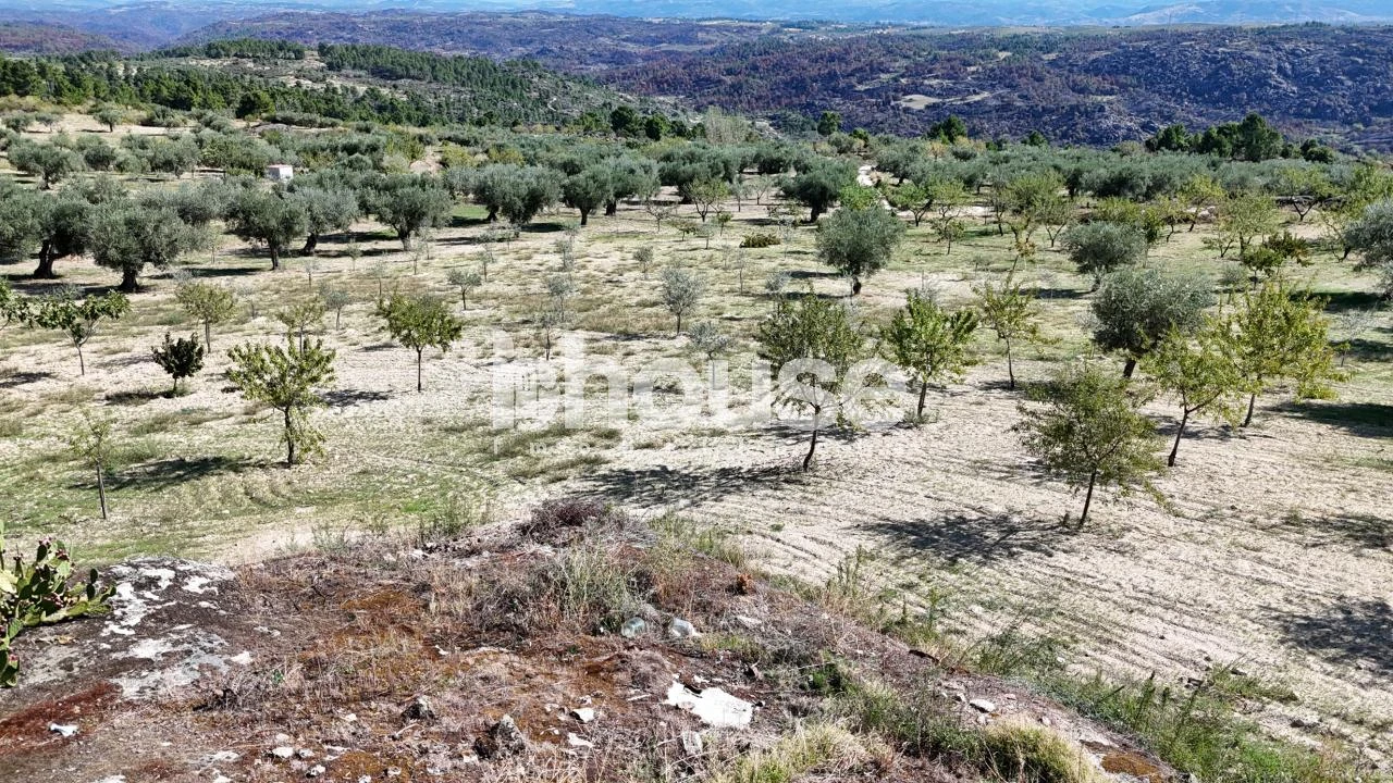 Terreno para Venda em Valpaços e Sanfins Foto 17