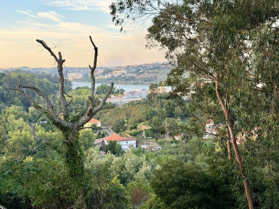 Apartamento T3 para Venda em Vilar de Andorinho Foto 15