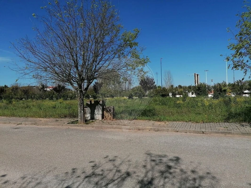 Terreno para Venda em Alvito Foto 2