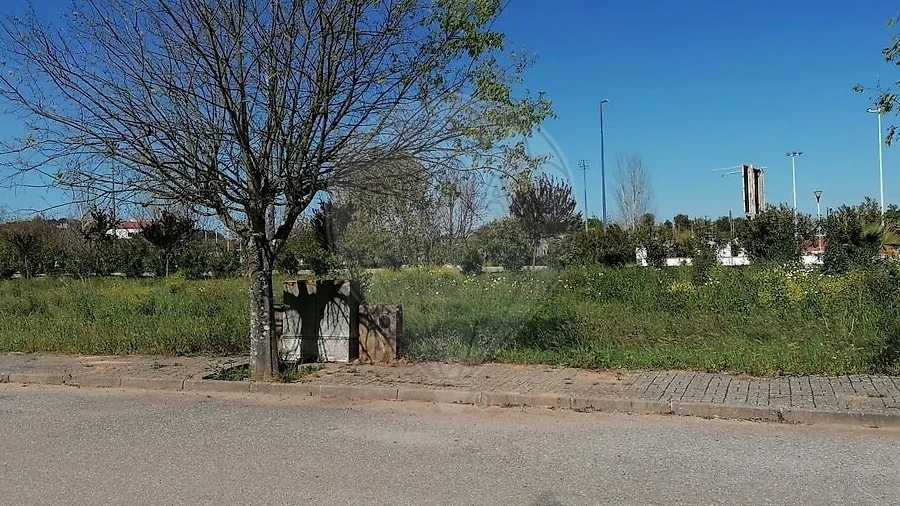 Terreno para Venda em Alvito
