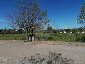 Terreno para Venda em Alvito