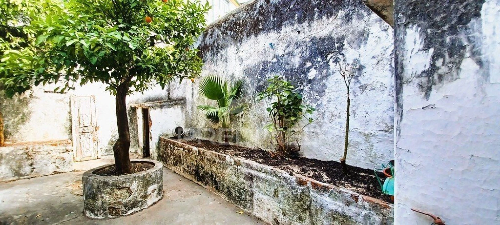 Moradia T8 para Venda em Sé e São Lourenço Foto 21