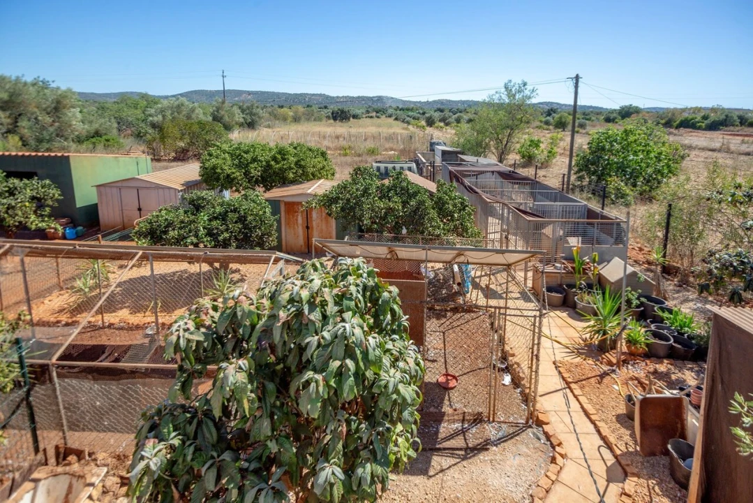Moradia T4 para Venda em Paderne Foto 33