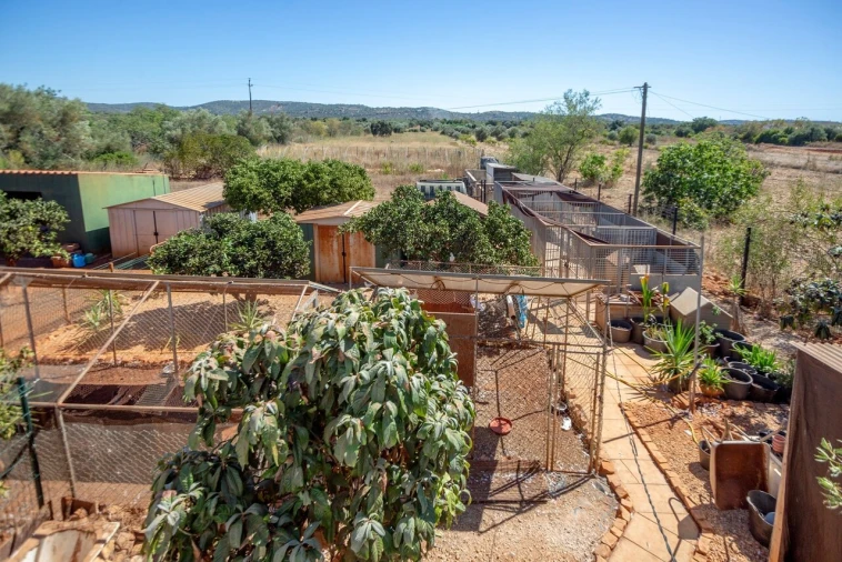 Moradia T4 para Venda em Paderne Foto 33