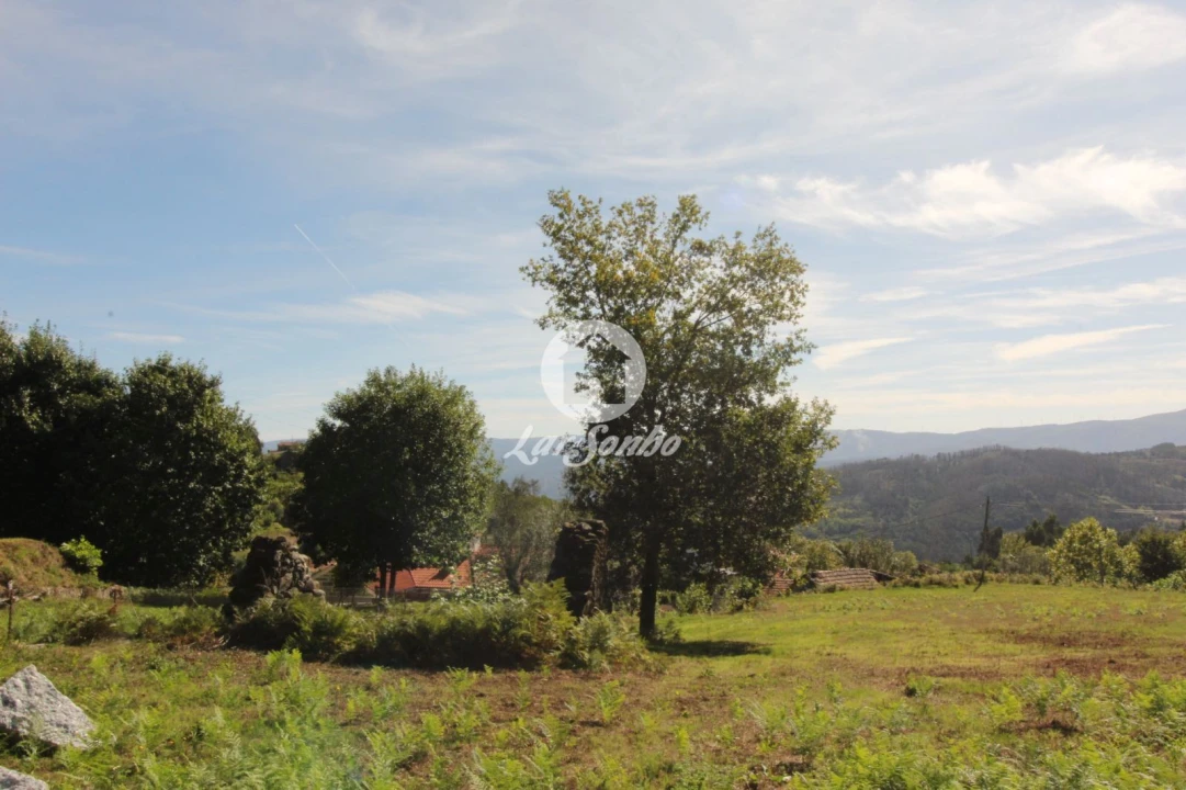 Terreno para Venda em Carvalho e Basto (Santa Tecla) Foto 2