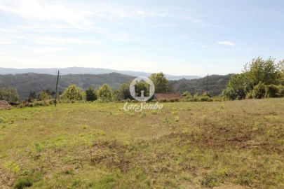 Terreno para Venda em Carvalho e Basto (Santa Tecla)