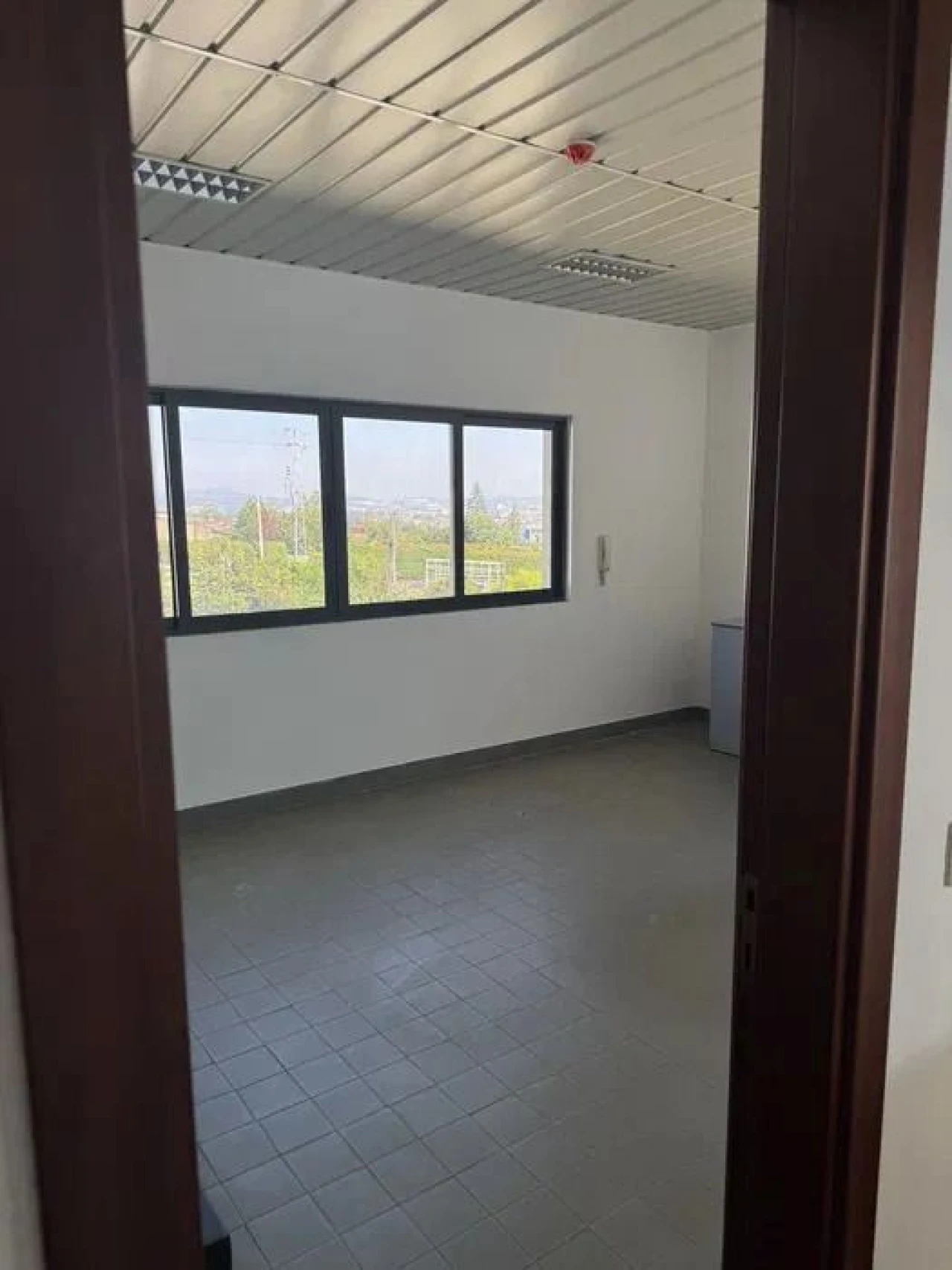 Armazém para Arrendamento em Bougado (São Martinho e Santiago) Foto 6