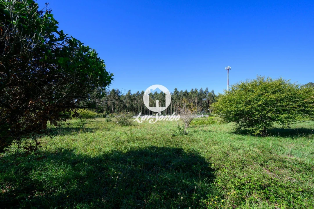 Moradia T4 para Venda em Rio Meão Foto 24