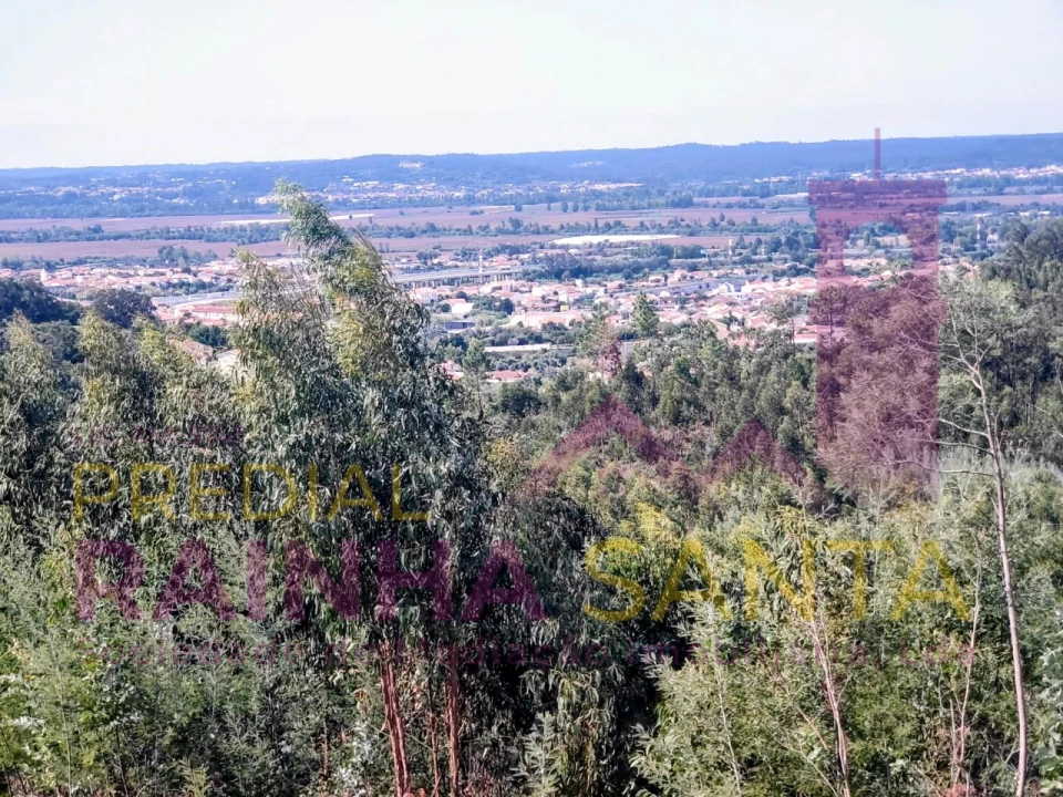 Moradia T4 para Venda em São Martinho do Bispo e Ribeira de Frades Foto 21
