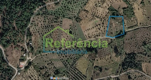 Terreno para Venda em Loivos e Póvoa de Agrações