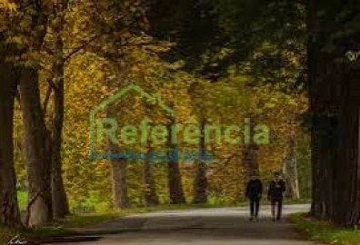 Terreno para Venda em Loivos e Póvoa de Agrações