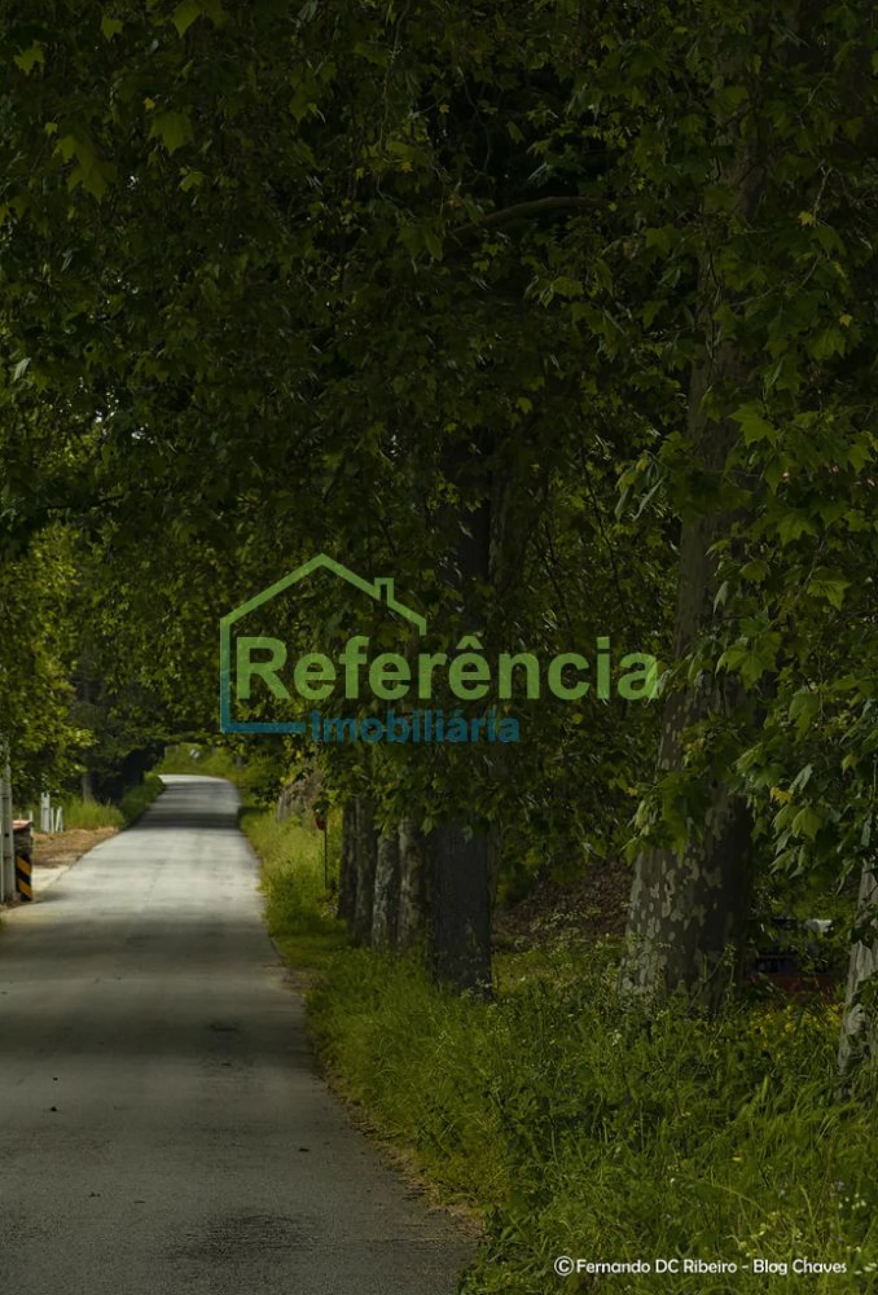 Terreno para Venda em Loivos e Póvoa de Agrações Foto 3