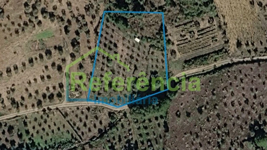 Terreno para Venda em Loivos e Póvoa de Agrações