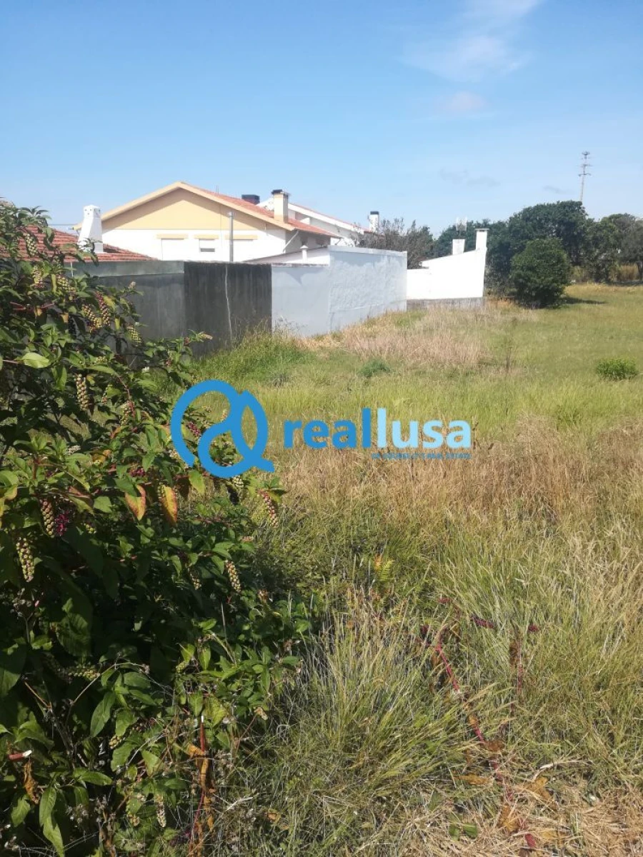 Terreno para Venda em Grijó e Sermonde Foto 5