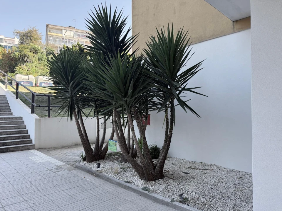 Apartamento T2 para Venda em Braga (Maximinos, Sé e Cividade) Foto 38