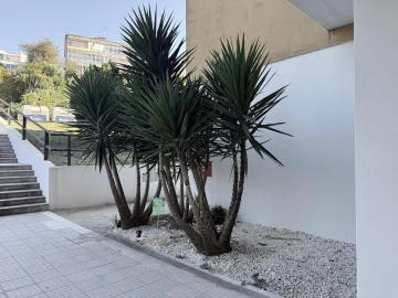 Apartamento T2 para Venda em Braga (Maximinos, Sé e Cividade)