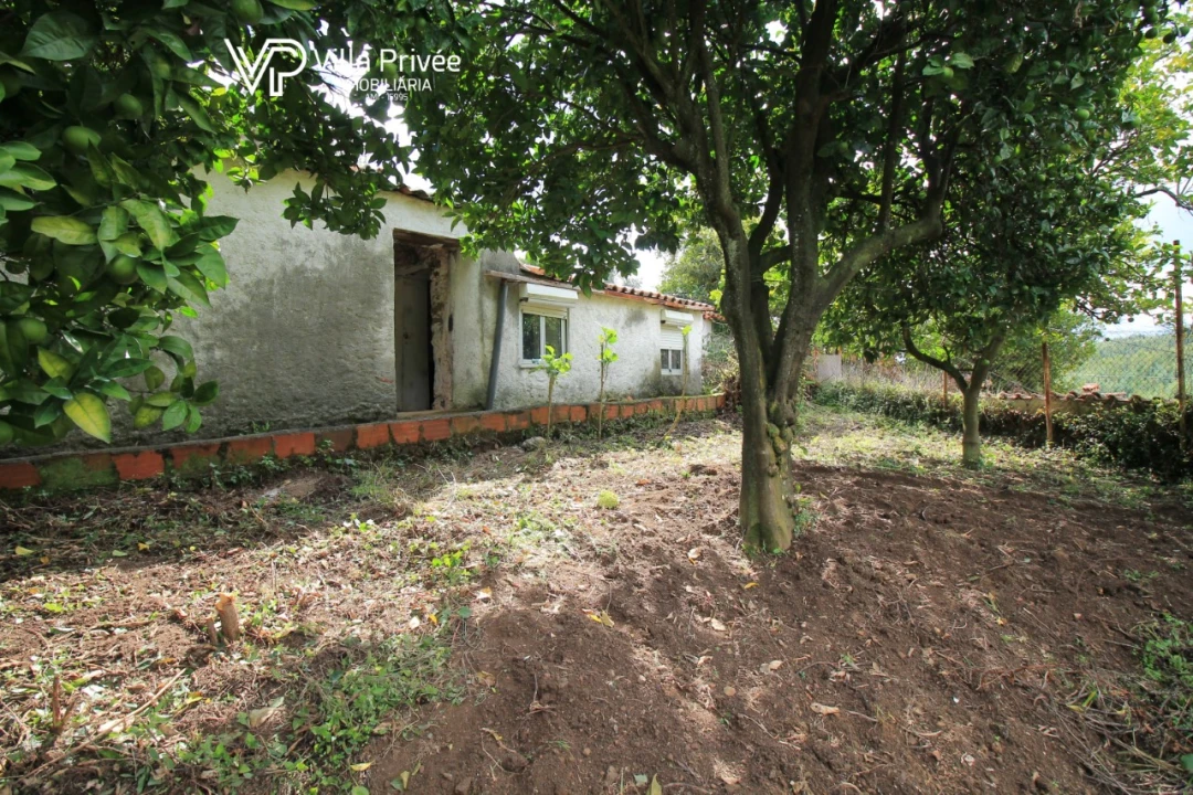 Moradia T2 para Venda em Semide e Rio Vide Foto 1