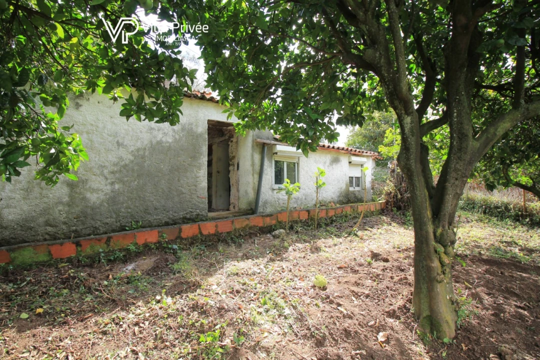 Moradia T2 para Venda em Semide e Rio Vide Foto 2