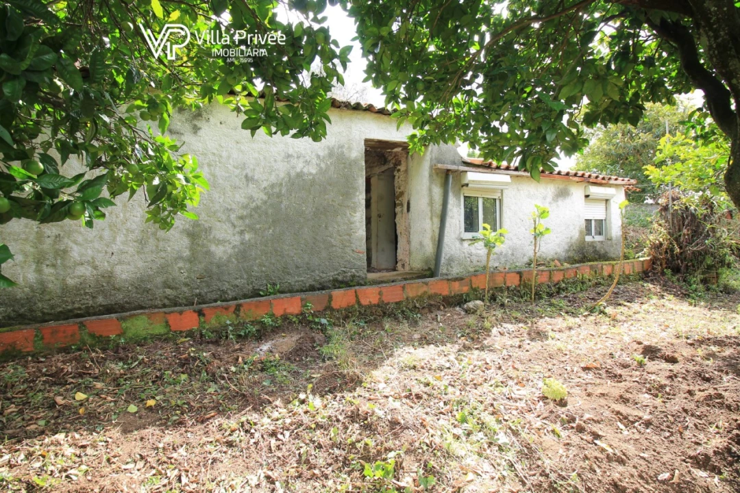 Moradia T2 para Venda em Semide e Rio Vide Foto 3