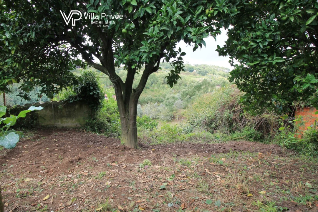Moradia T2 para Venda em Semide e Rio Vide Foto 12
