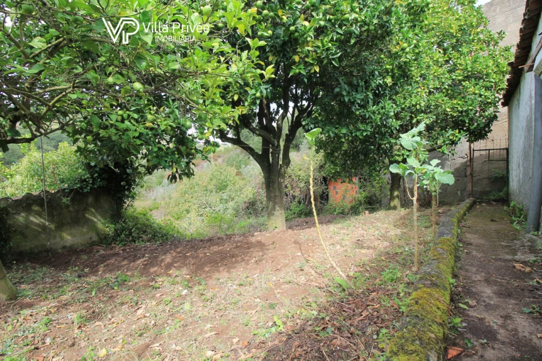 Moradia T2 para Venda em Semide e Rio Vide Foto 13