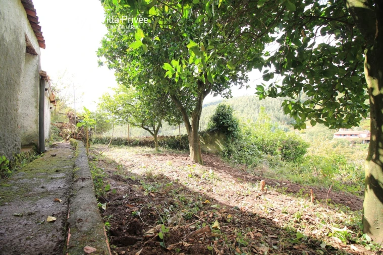 Moradia T2 para Venda em Semide e Rio Vide Foto 14