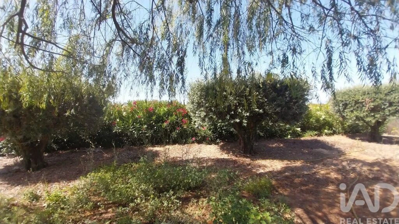 Terreno para Venda em Azambujeira e Malaqueijo Foto 22
