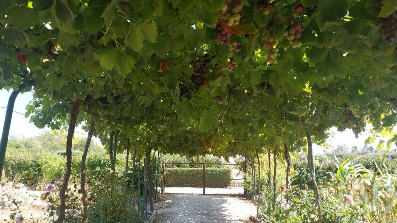 Terreno para Venda em Azambujeira e Malaqueijo Foto 37
