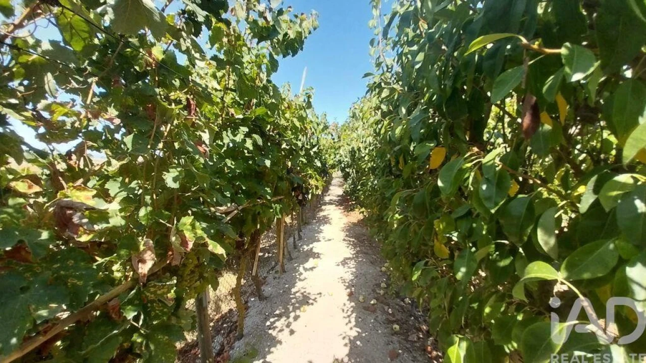 Terreno para Venda em Azambujeira e Malaqueijo Foto 40