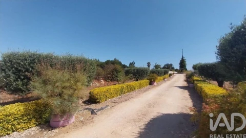 Terreno para Venda em Azambujeira e Malaqueijo