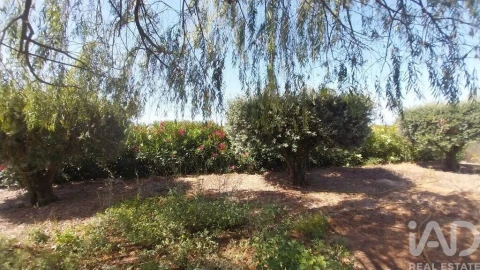 Terreno para Venda em Azambujeira e Malaqueijo