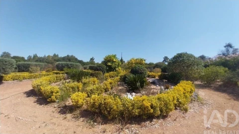 Terreno para Venda em Azambujeira e Malaqueijo